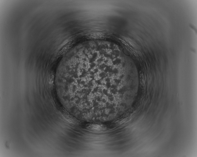 X0000091330507200708311439