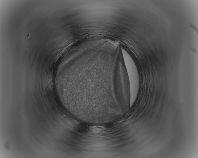 X0000091330508200708311439