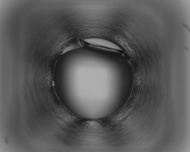 X0000091330509200708311439
