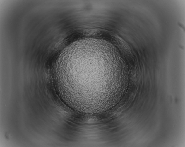 X0000091330510200708311439