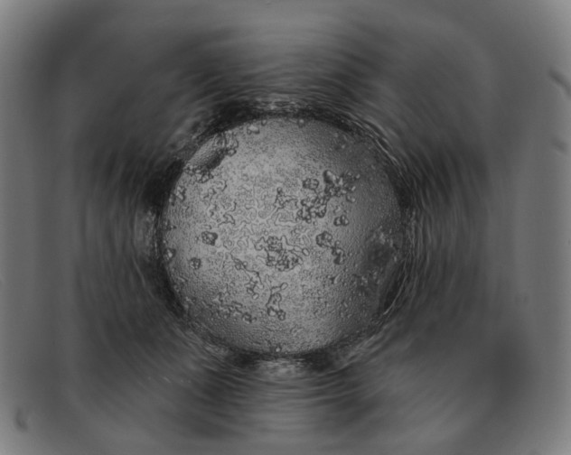 X0000091330511200708311439