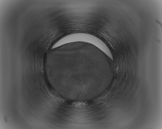 X0000091330512200708311439