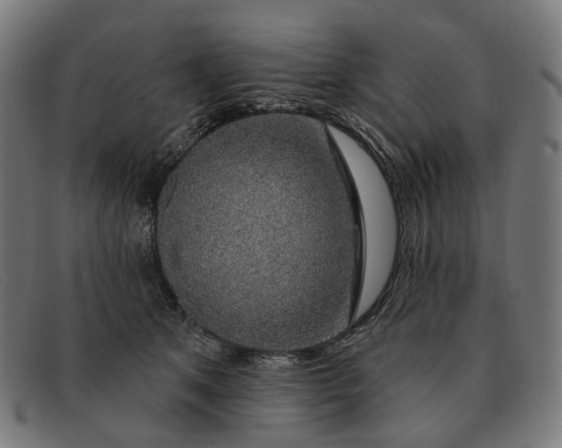 X0000091330513200708311439