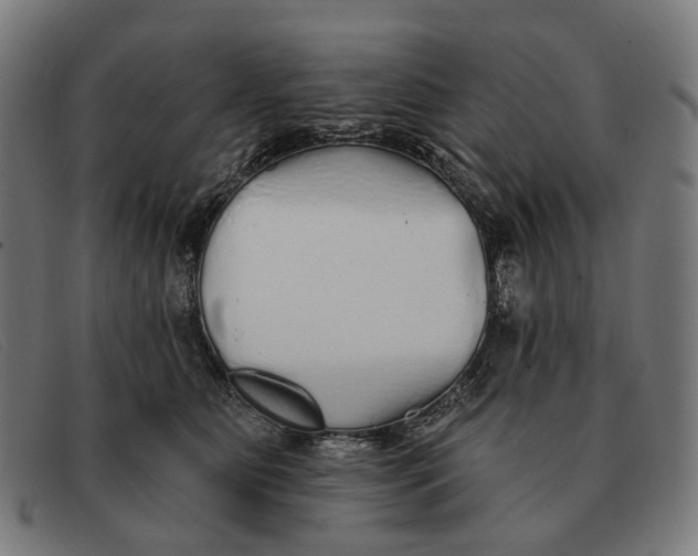 X0000091330515200708311439
