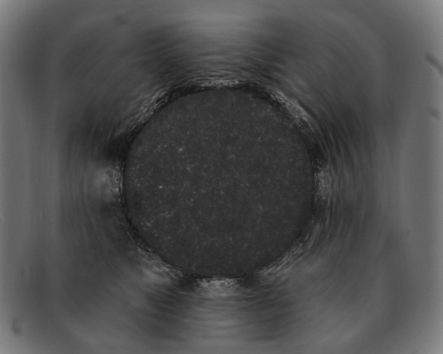 X0000091330517200708311439