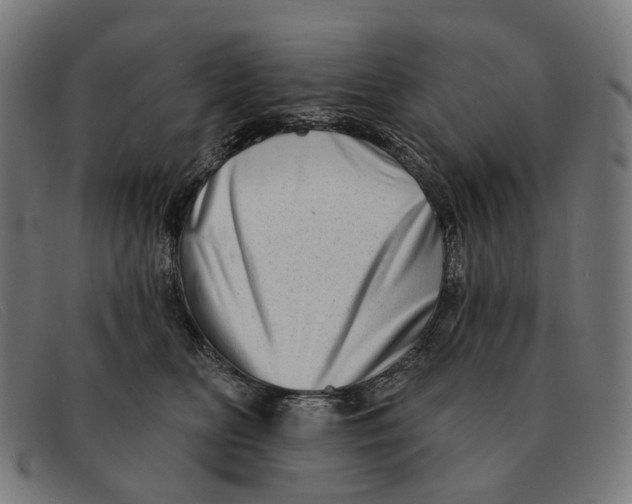 X0000091330518200708311439