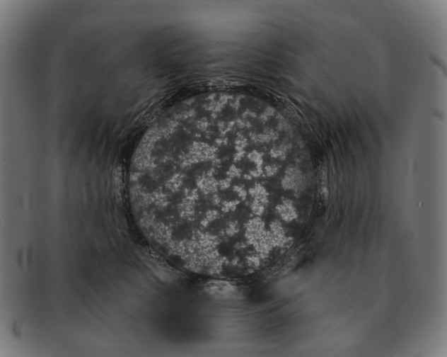 X0000091330519200708311439