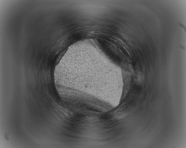 X0000091330520200708311439