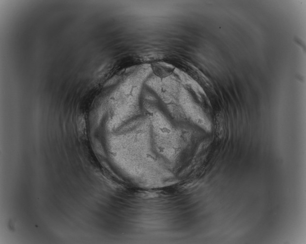 X0000091330523200708311439