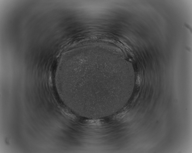 X0000091330524200708311439