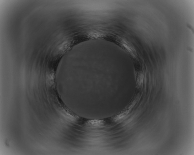 X0000091330526200708311439