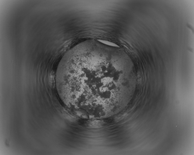 X0000091330527200708311439