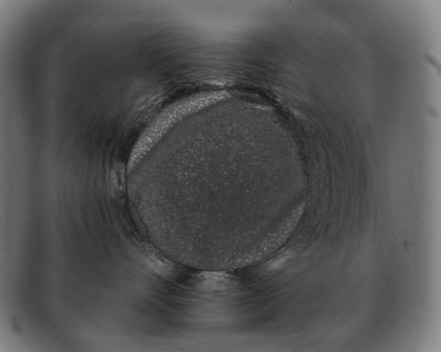 X0000091330528200708311439