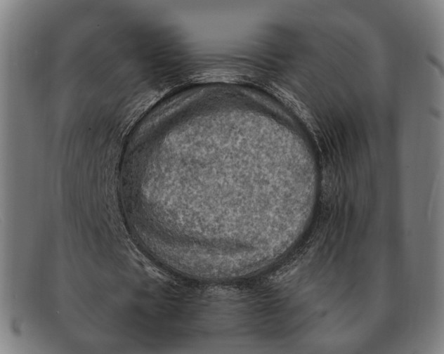 X0000091330529200708311438