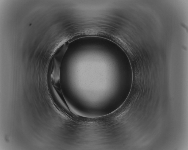 X0000091330530200708311438