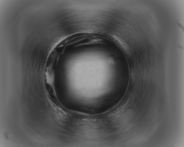 X0000091330532200708311438