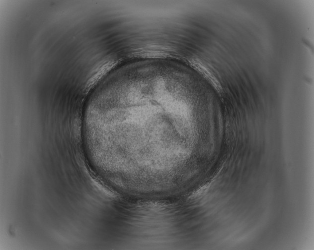 X0000091330533200708311438