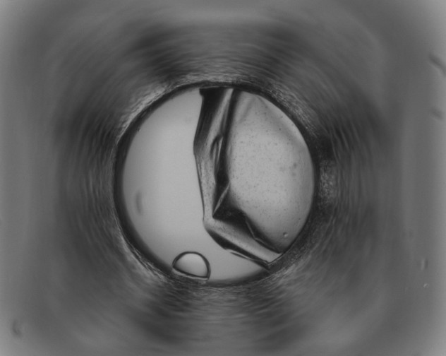 X0000091330534200708311438