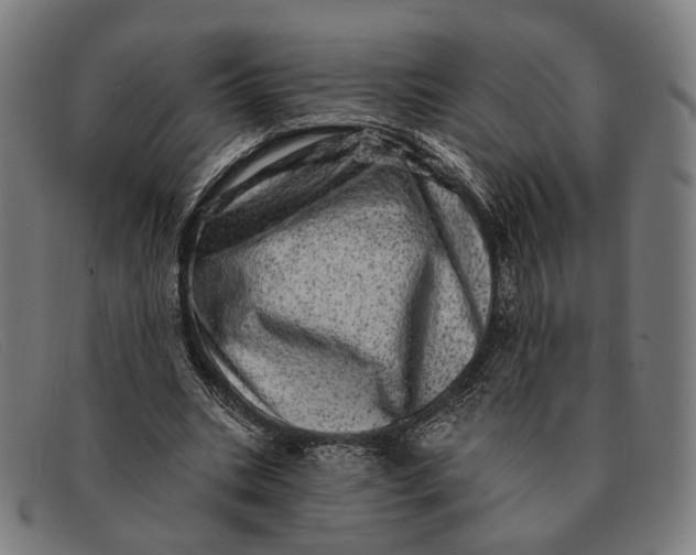 X0000091330535200708311438