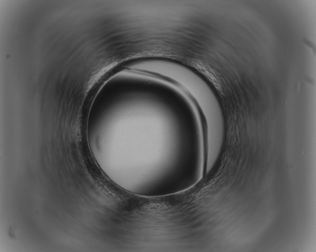 X0000091330536200708311438