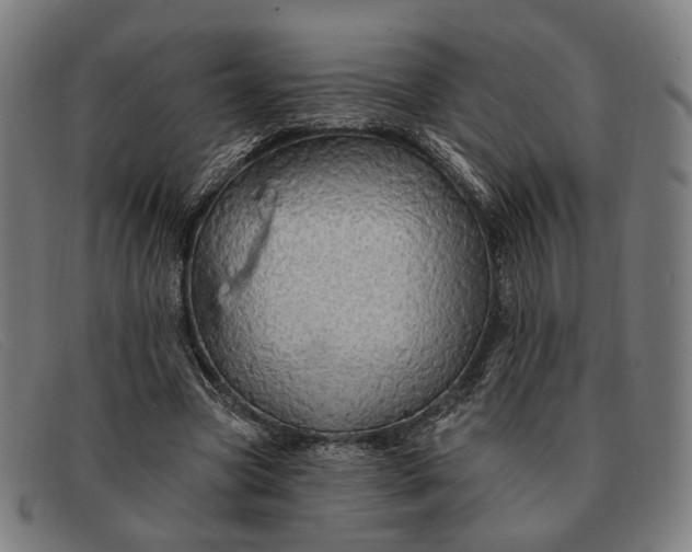 X0000091330537200708311438
