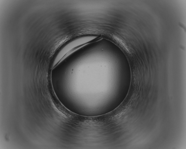 X0000091330538200708311438