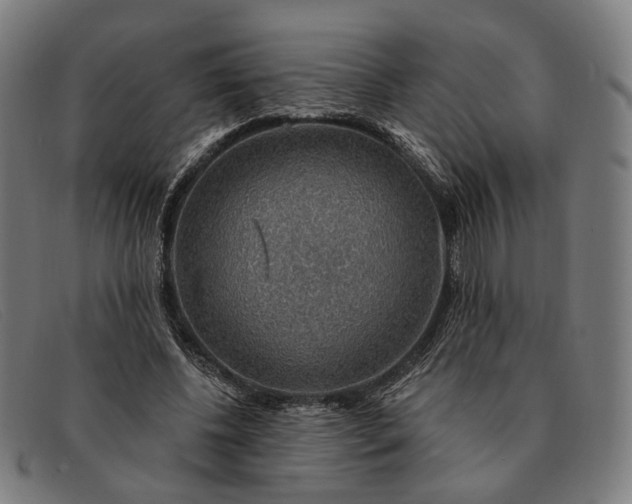 X0000091330540200708311438