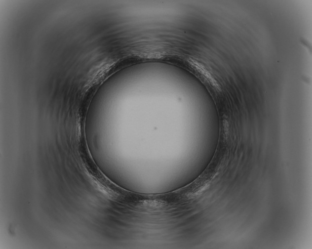 X0000091330541200708311438