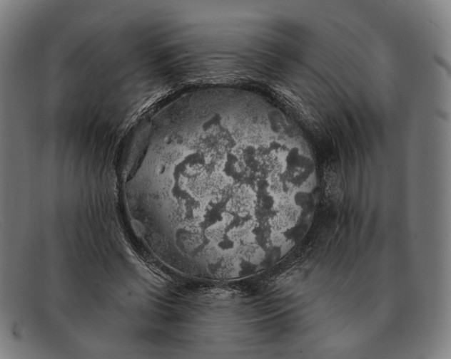X0000091330542200708311438