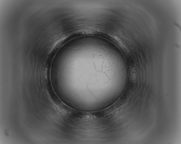 X0000091330543200708311438
