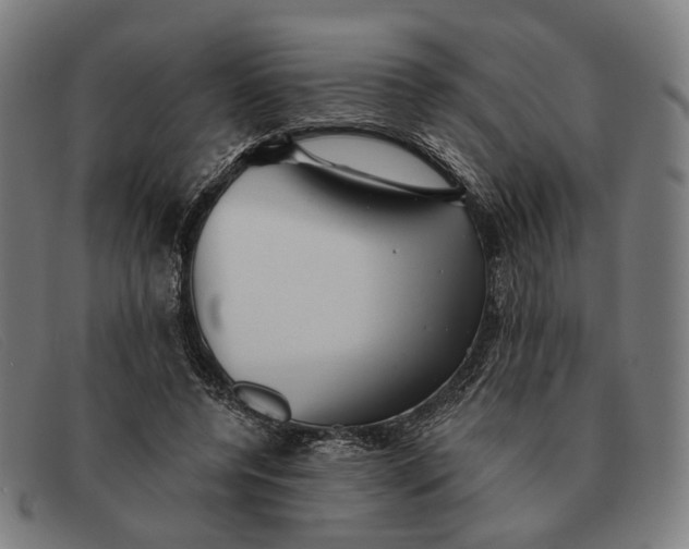 X0000091330544200708311438