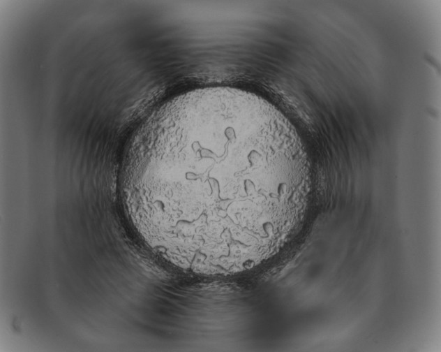 X0000091330545200708311438