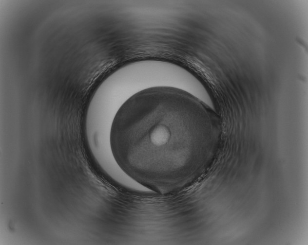 X0000091330546200708311438