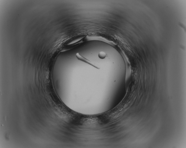 X0000091330548200708311439