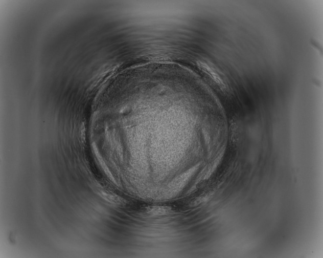 X0000091330549200708311439
