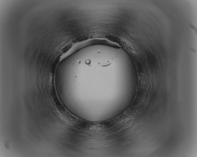 X0000091330550200708311439