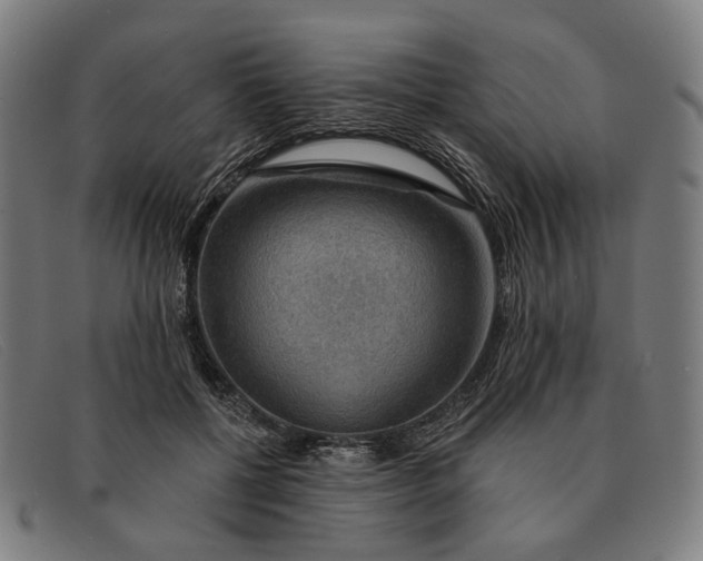 X0000091330552200708311439