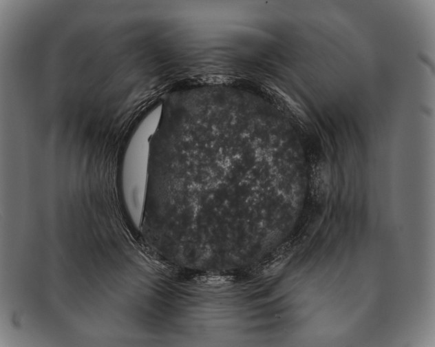 X0000091330553200708311439