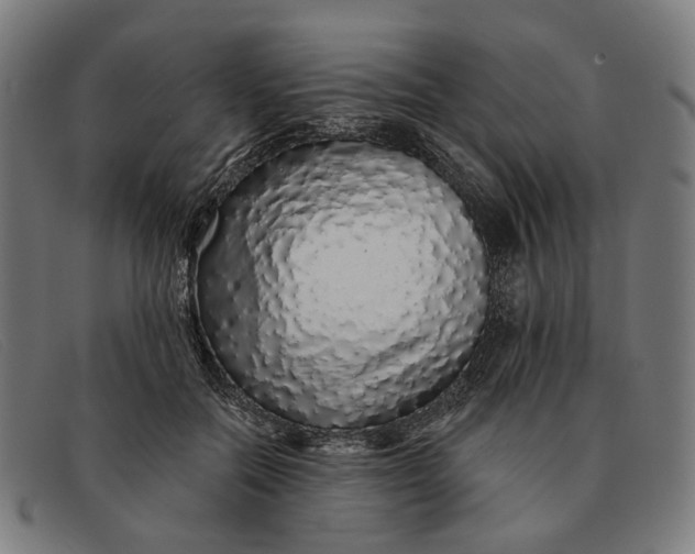 X0000091330554200708311439