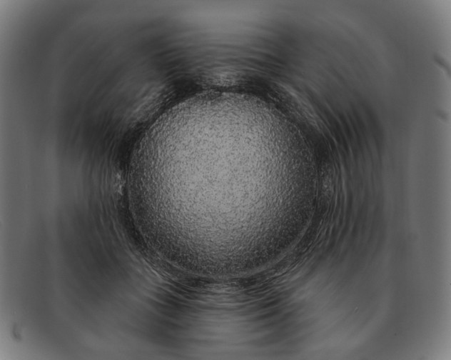 X0000091330555200708311439