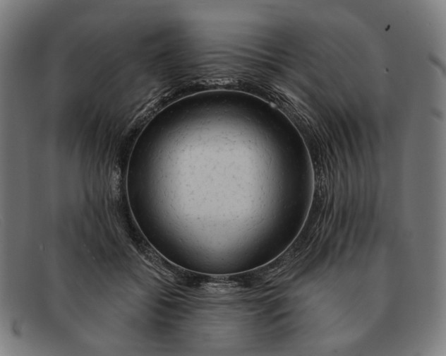 X0000091330556200708311439