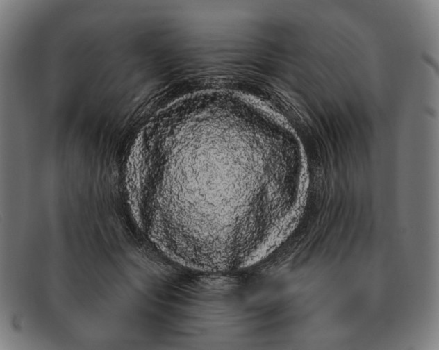 X0000091330557200708311439