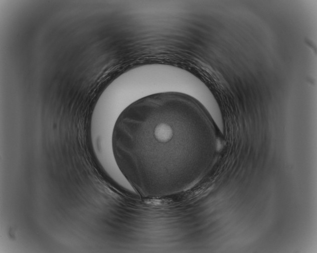 X0000091330558200708311439