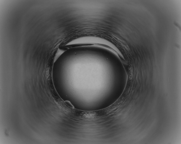 X0000091330560200708311439