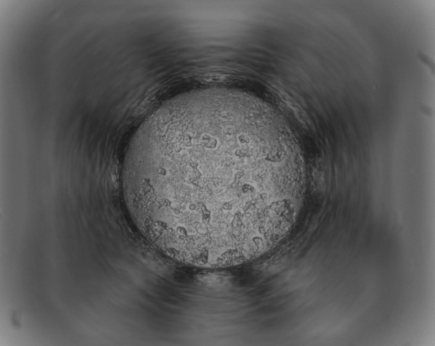 X0000091330561200708311439