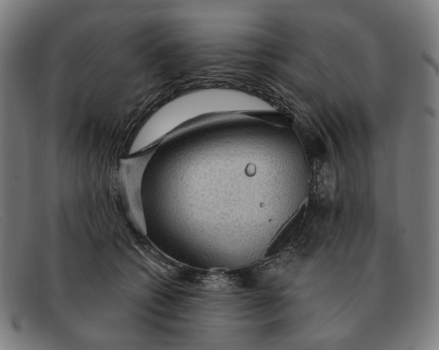 X0000091330562200708311439