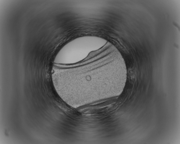 X0000091330564200708311439