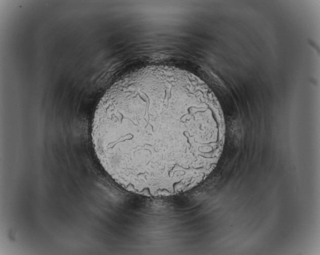 X0000091330565200708311439