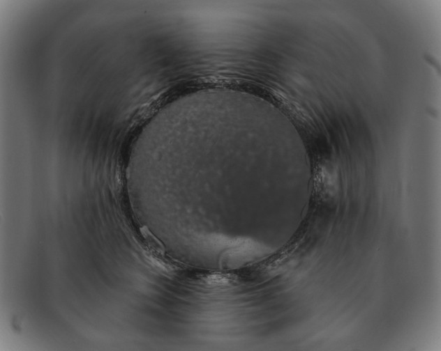 X0000091330566200708311439