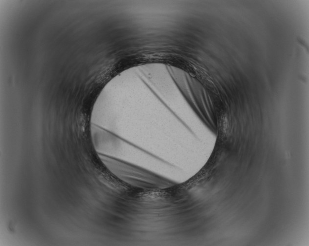 X0000091330567200708311439